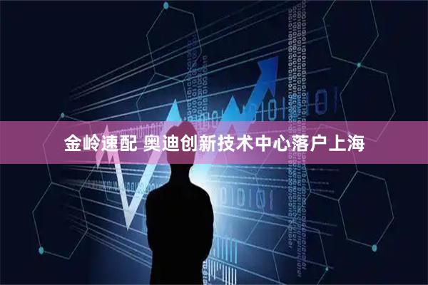 金岭速配 奥迪创新技术中心落户上海